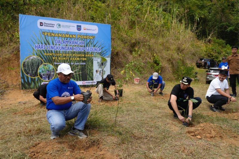 ptba-tanam-500-bibit-aren-dan-bambu-di-lahan-pascatambang-sawahlunto