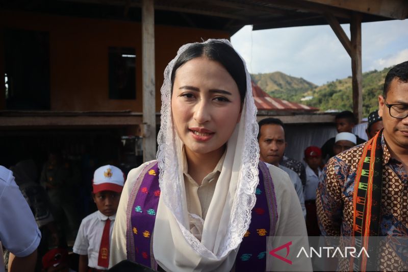 wamendag-sebut-tarif-impor-as-19-persen-sebuah-prestasi-membanggakan