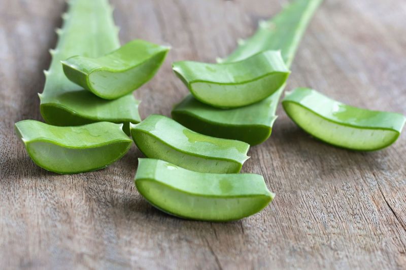 Validasi ilmiah jadi kunci keamanan Aloe Vera