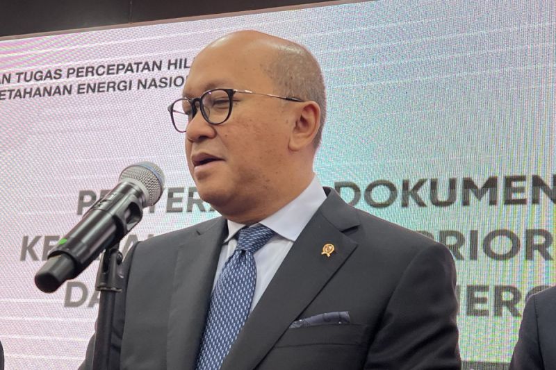 ceo-danantara-dewan-pengawas-danantara-dibantu-oleh-tiga-komite