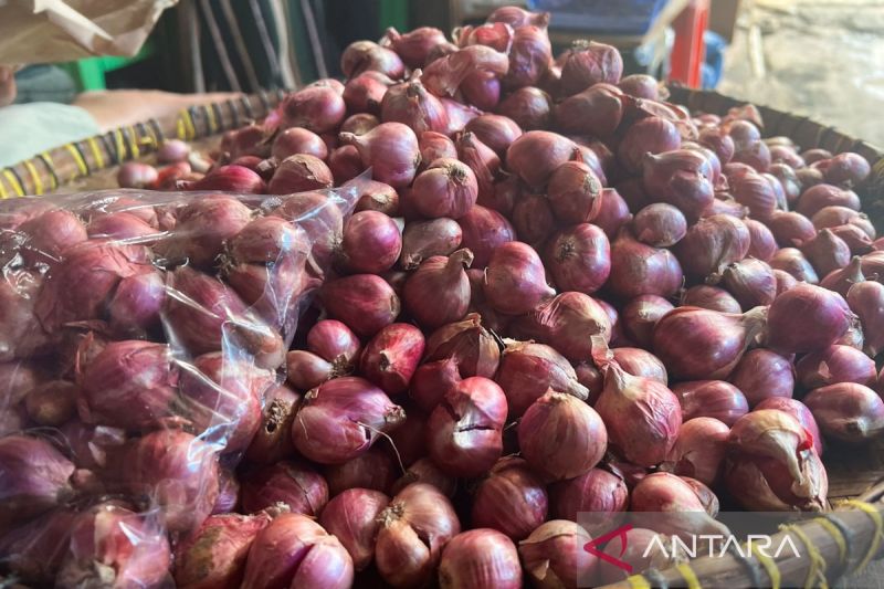 bapanas-harga-cabai-rawit-rp61770kg-bawang-merah-rp45233kg