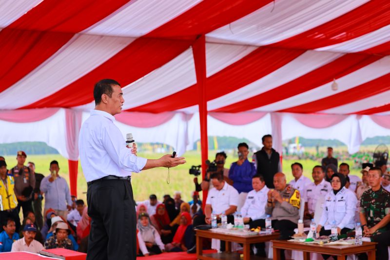 mentan-targetkan-cetak-50-ribu-hektare-sawah-baru-di-riau