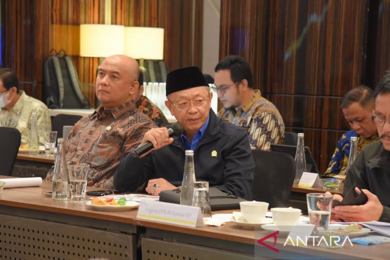 anggota-dpr-reklamasi-pascatambang-harus-dongkrak-ekonomi-hijau