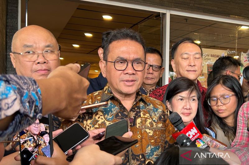 mendag-sebut-fenomena-rojali-sudah-lama-ada
