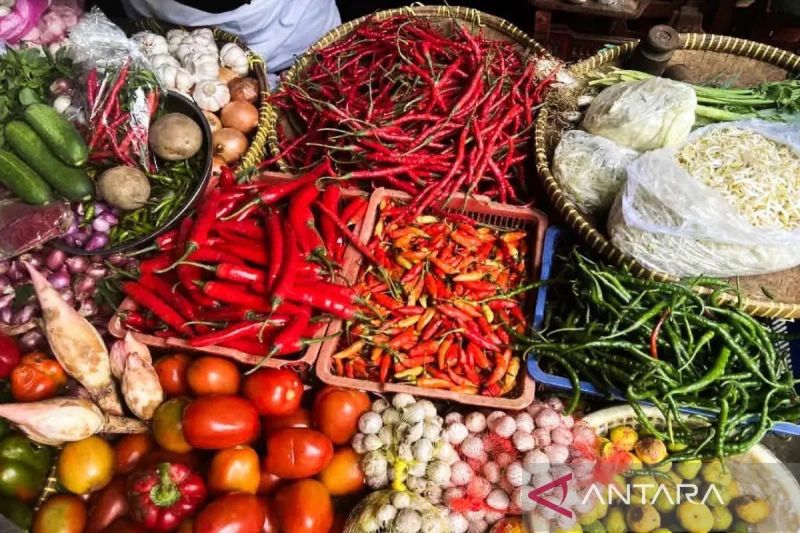 bapanas-harga-cabai-rawit-rp58772kg-bawang-merah-rp45537kg