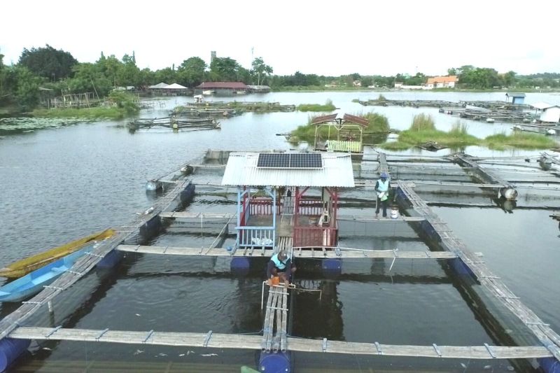 pln-ip-pasang-plts-di-keramba-nelayan-danau-ranu-jatim