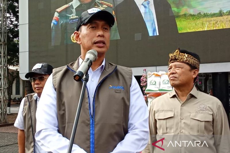 bulog-sebut-stok-beras-akan-bertambah-usai-catat-rekor-42-juta-ton