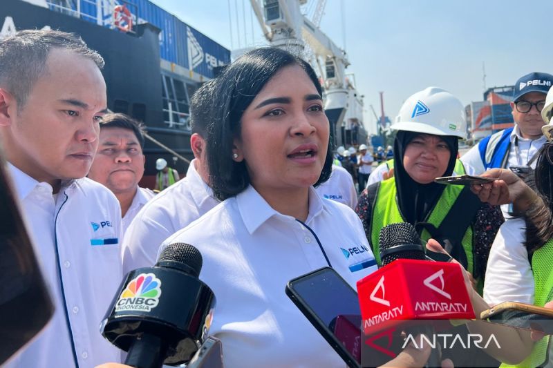pelni-mengangkut-86023-kontainer-logistik-dalam-10-tahun-terakhir