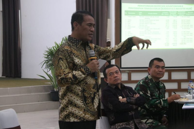 mentan-jadikan-jambi-proyek-percobaan-pengembangan-gandum