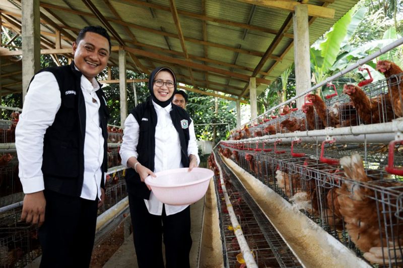 koperasi-desa-di-lumajang-kembangkan-peternakan-perkuat-program-mbg