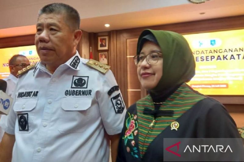 BPS: Timah Babel "Play Maker" di pasar dunia