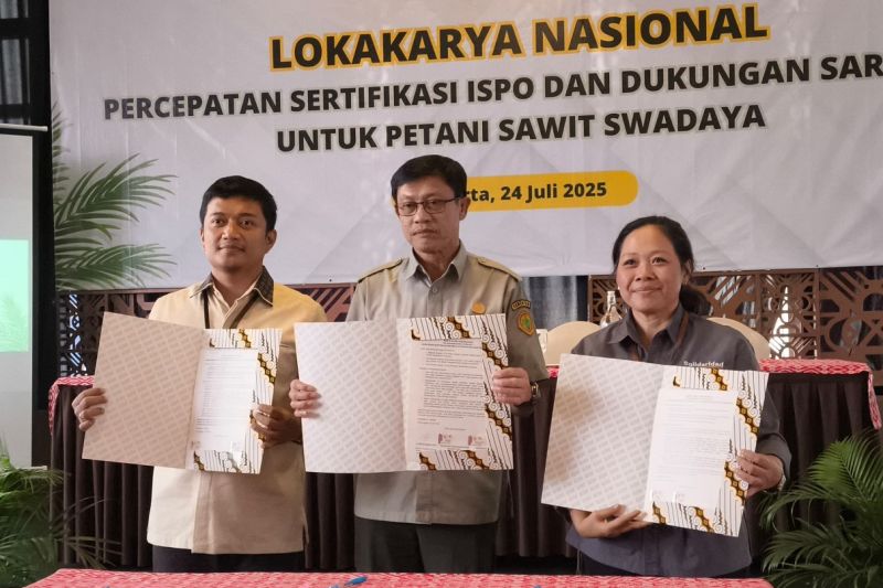 Kementan dan BPDP dorong percepatan sertifikasi ISPO petani sawit