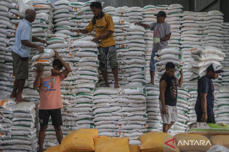 indonesia-surplus-beras-stok-nasional-tembus-42-juta-ton