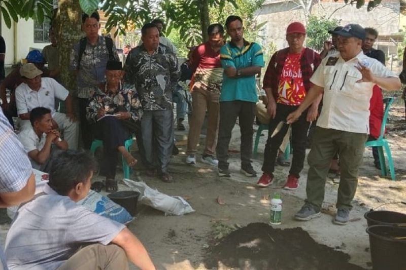 bpdp-pemanfaatan-biochar-tankos-sawit-tekan-penggunaan-pupuk-kimia