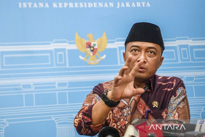 Istana: Tidak ada razia pengibaran bendera One Piece