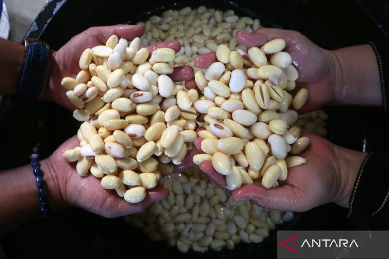 3-sumber-protein-nabati-dan-manfaatnya-bagi-tubuh-manusia