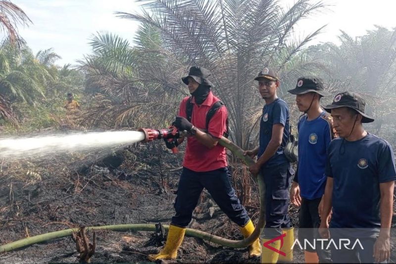 BPBD: 70 persen lahan terbakar di Aceh Barat berhasil dipadamkan