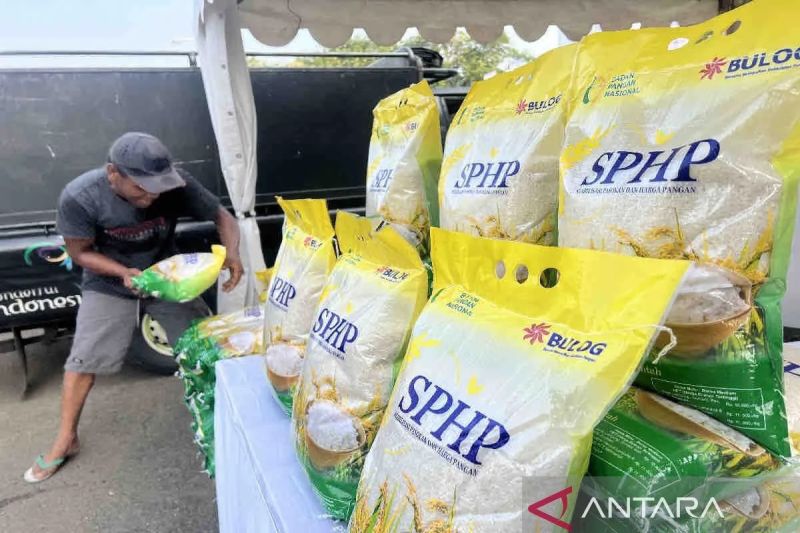pengamat-oplos-beras-kualitas-rendah-jadi-sphp-harus-ditindak-tegas