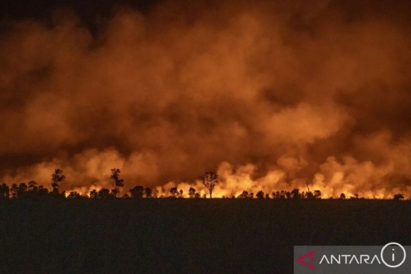Gubernur Sumut: Enam kabupaten berstatus siaga darurat karhutla