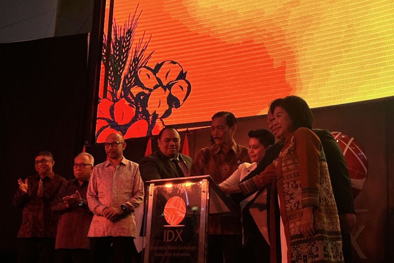 luhut-luncurkan-yayasan-padi-kapas-indonesia-di-bursa-efek-indonesia