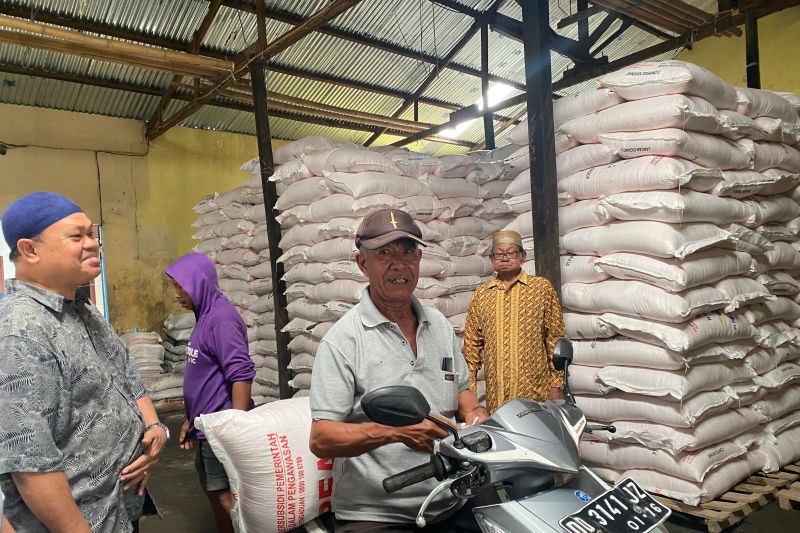 140-ribu-petani-di-sulsel-tidak-menebus-pupuk-subsidi-sejak-2024