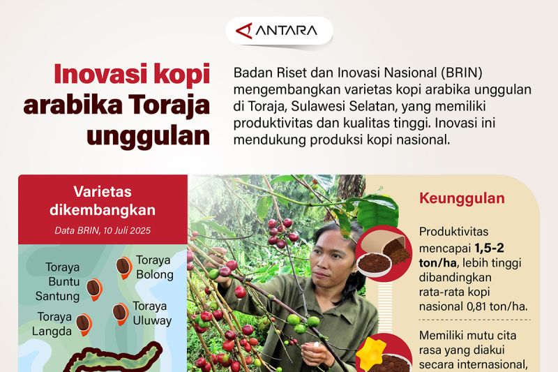 inovasi-kopi-arabika-toraja-unggulan