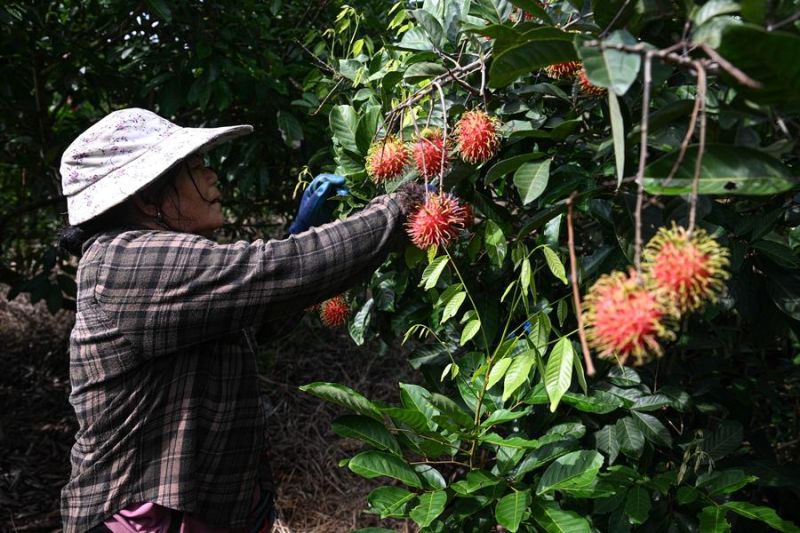 Baoting di China genjot pariwisata ramah lingkungan