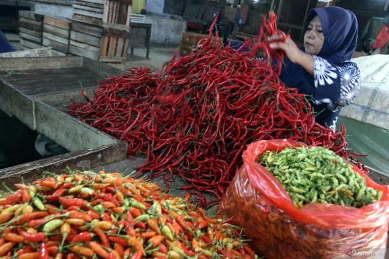 bapanas-harga-cabai-rawit-rp65000kg-bawang-merah-rp50000kg