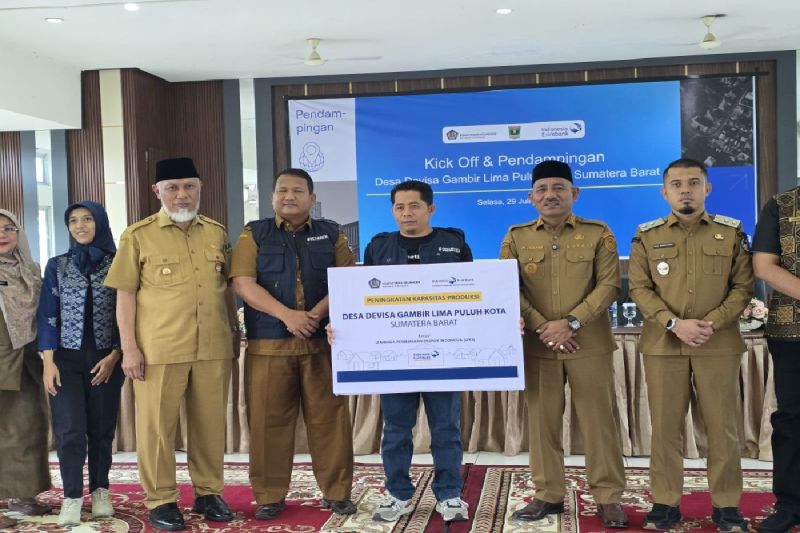 pemprov-sumbar-meluncurkan-program-desa-devisa-dukung-petani-gambir