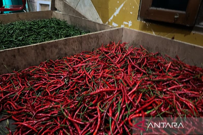 bapanas-cabai-rawit-rp53432-per-kg-bawang-merah-rp47238-per-kg