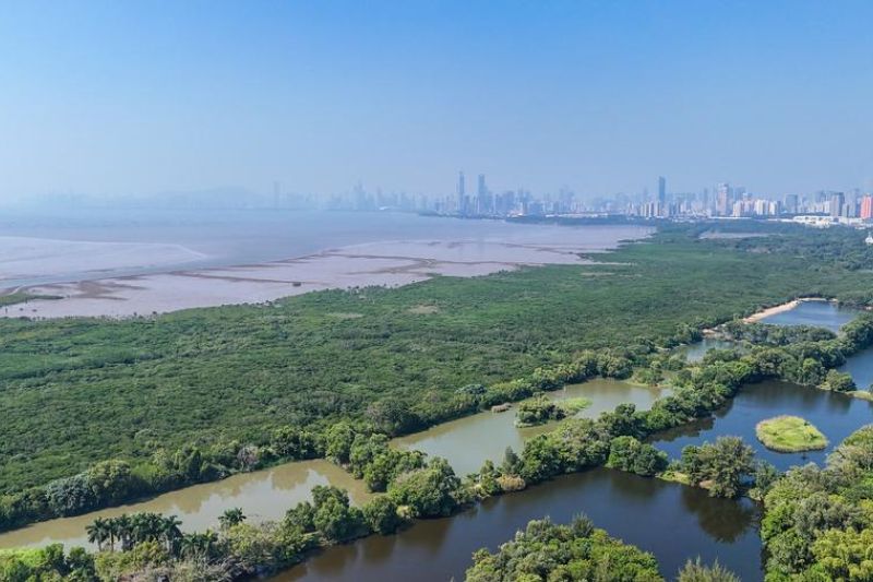 China tetap berkomitmen pada konservasi lahan basah internasional