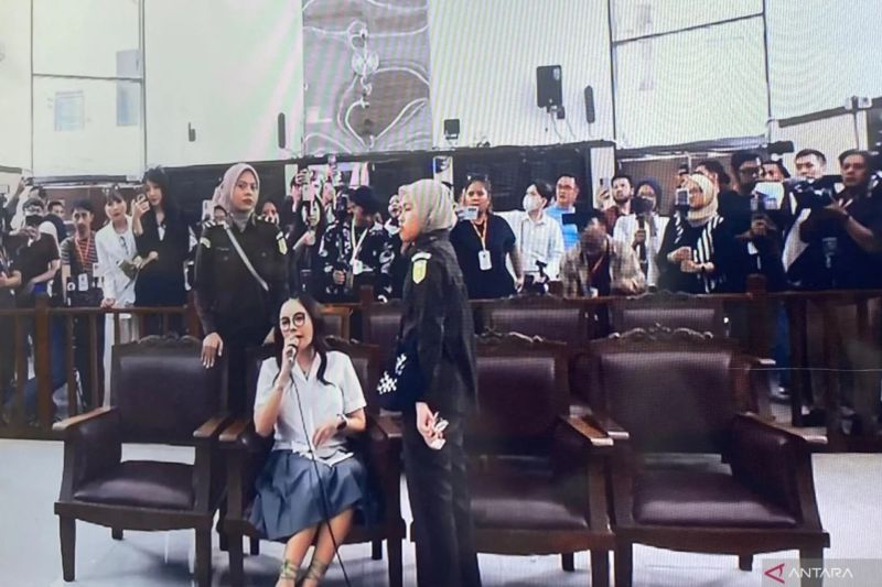pn-jaksel-gelar-sidang-saksi-lanjutan-nikita-mirzani-pada-7-agustus