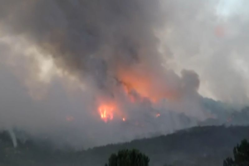 10 petugas damkar tewas dan 14 terluka dalam kebakaran hutan di Turki