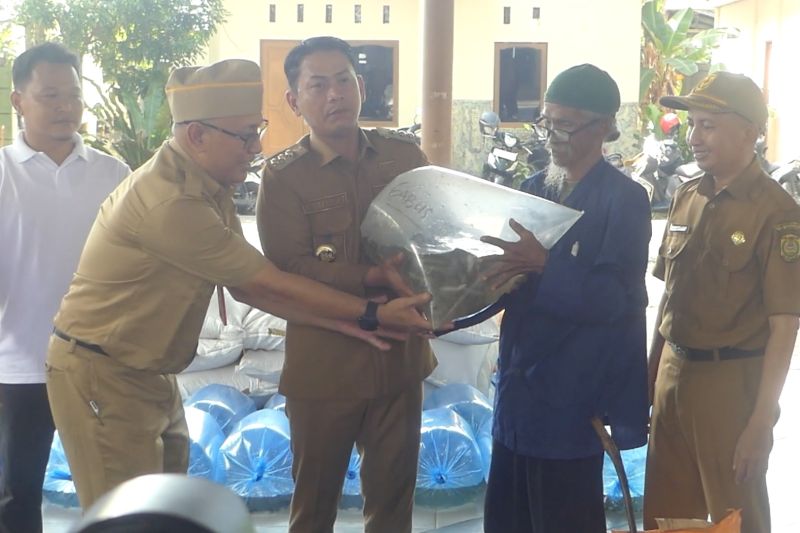 dkp3-banjarmasin-bantu-pembudidaya-ikan-tingkatkan-produktivitas