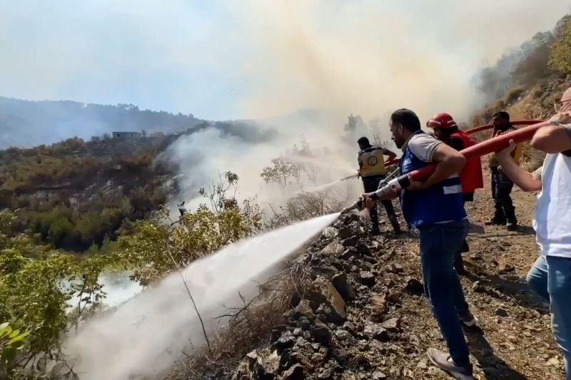 Lebih dari 7.000 hektare hutan di Suriah terbakar