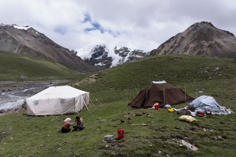 Penggembala Tibet nikmati mata pencaharian selama musim migrasi