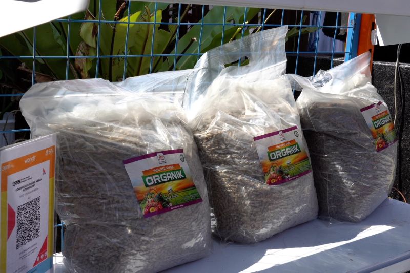 pupuk-limbah-udang-produk-unggulan-koperasi-merah-putih-di-tarakan
