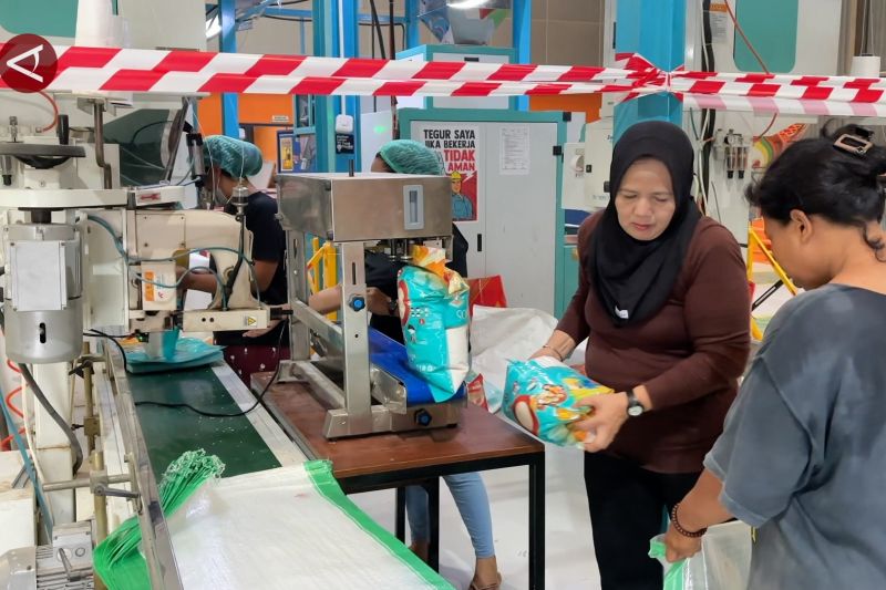 Respons beras oplosan, Bulog tegaskan standar mutu distribusi pangan
