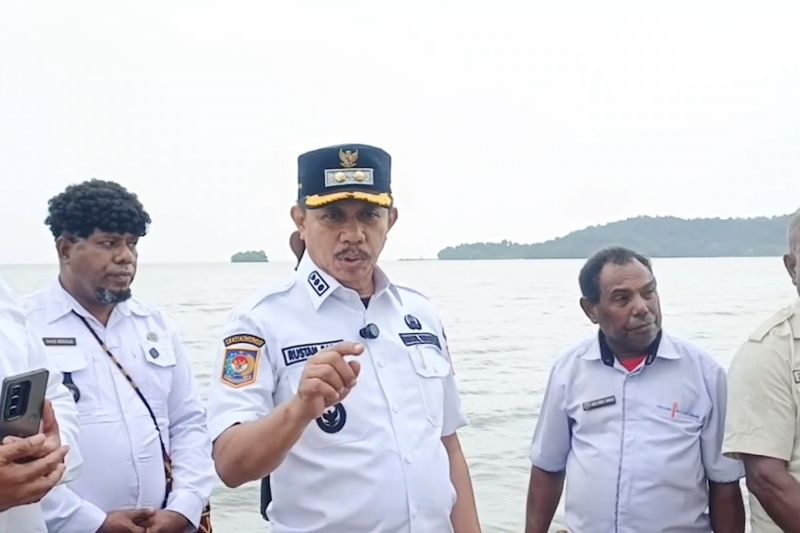 Wakil Wali Kota sebut Jayapura aman dari ancaman tsunami