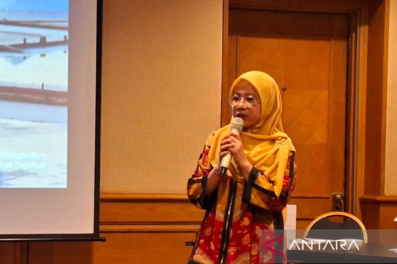 kkp-fokus-intensifikasi-lahan-garam-di-tiga-wilayah-pantura-pada-2025
