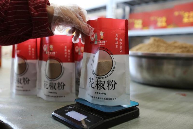 Mengintip Industri lada Sichuan di Provinsi Gansu, China