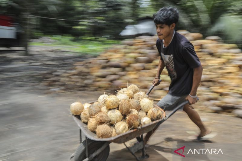 9-produk-olahan-buah-kelapa-dengan-nilai-ekonomi-tinggi