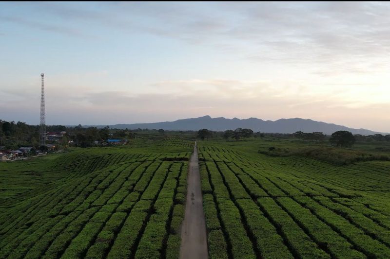ptpn-mendorong-gelaran-aprc-daya-tarik-pariwisata-di-sumut