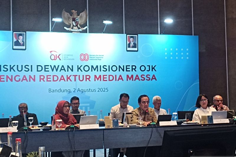ojk-jaminan-pemerintah-bagi-pinjaman-kopdes-jadi-perkembangan-positif