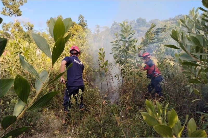 Anomali cuaca, BNPB minta pemda siaga banjir dan karhutla sekaligus
