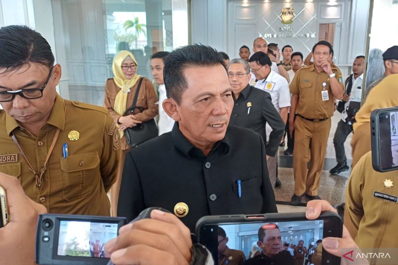gubernur-kepri-realisasi-investasi-per-triwulan-ii-capai-rp29-triliun