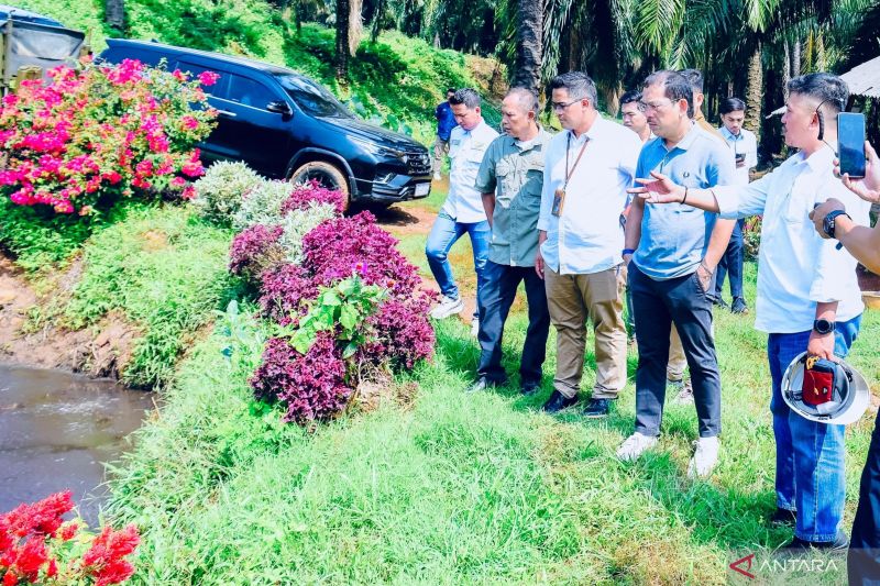 DPR soroti pentingnya tata kelola lingkungan pada industri sawit