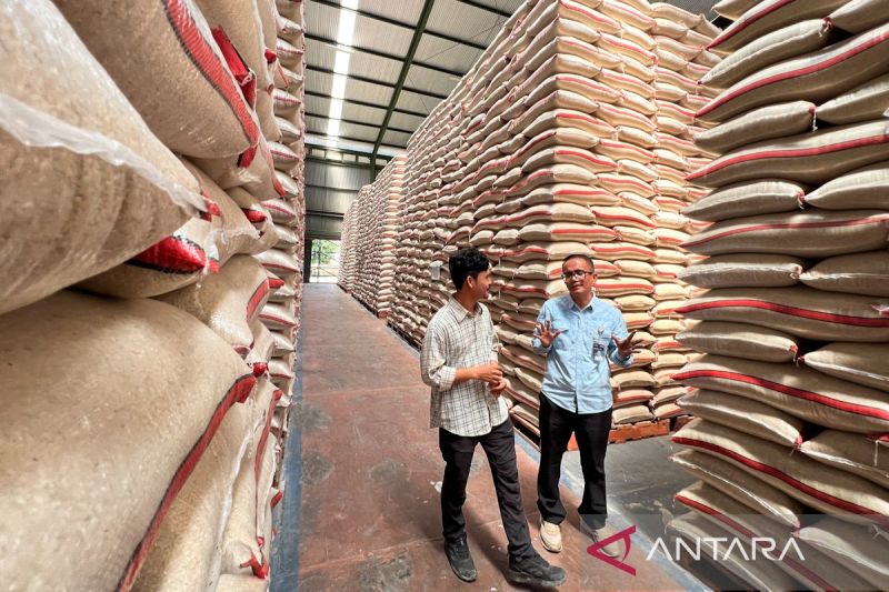 bulog-cirebon-serap-133624-ton-setara-beras-tertinggi-dalam-5-tahun