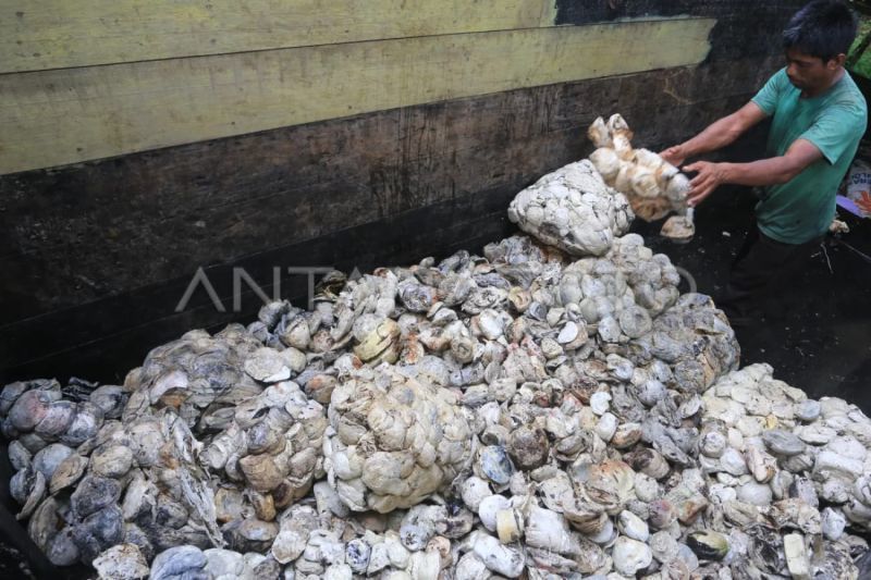 pemprov-imbau-karet-mentah-aceh-tak-dijual-keluar-daerah