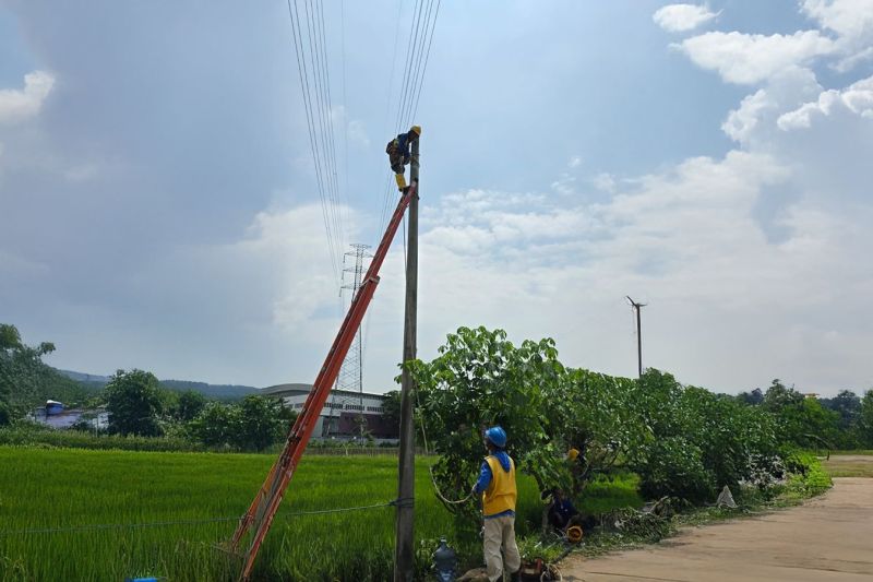 pln-operasikan-pompa-persawahan-di-ponorogo-dukung-ketahanan-pangan